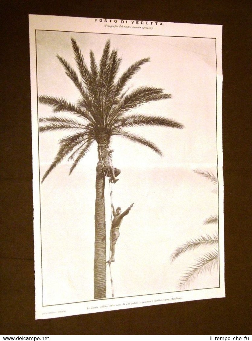 Spedizione d'Italia in Libia o Tripolitania nel 1911 Posto di …