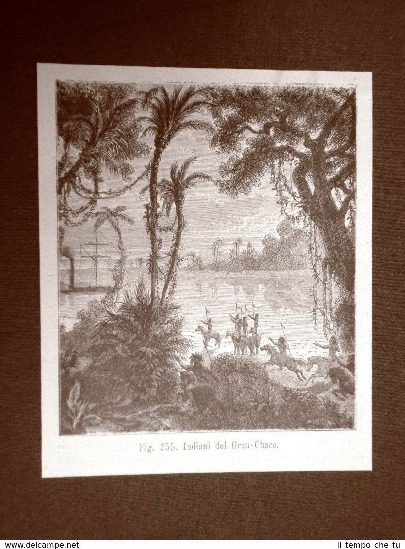 Stampa del 1883 Presso gli Indiani del Gran Chaco Moda …