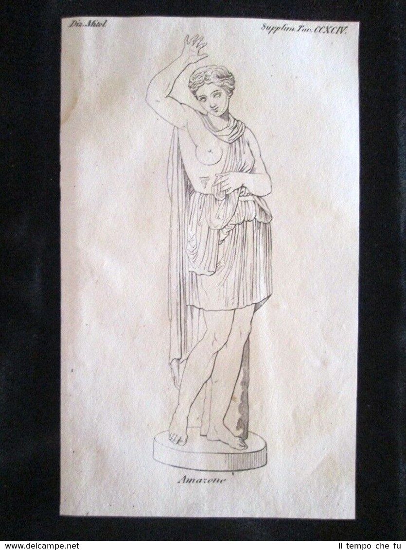 Statua di Amazzone Incisione all'acquaforte del 1820 Mitologia Pozzoli