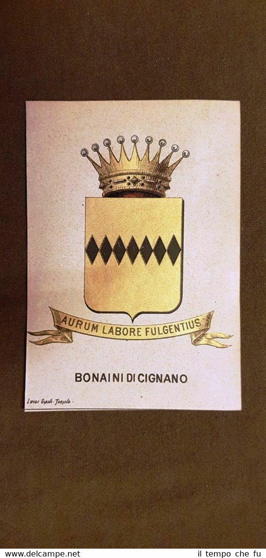 Stemma Bonaini di Cignano Famiglia nobile Cromolitografia 1880 Annuario nobiltà