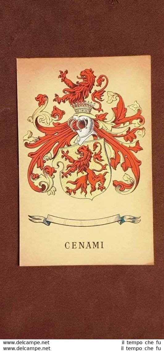 Stemma Cenami Vis unita fortior Famiglia nobile Cromolitografia del 1880 …
