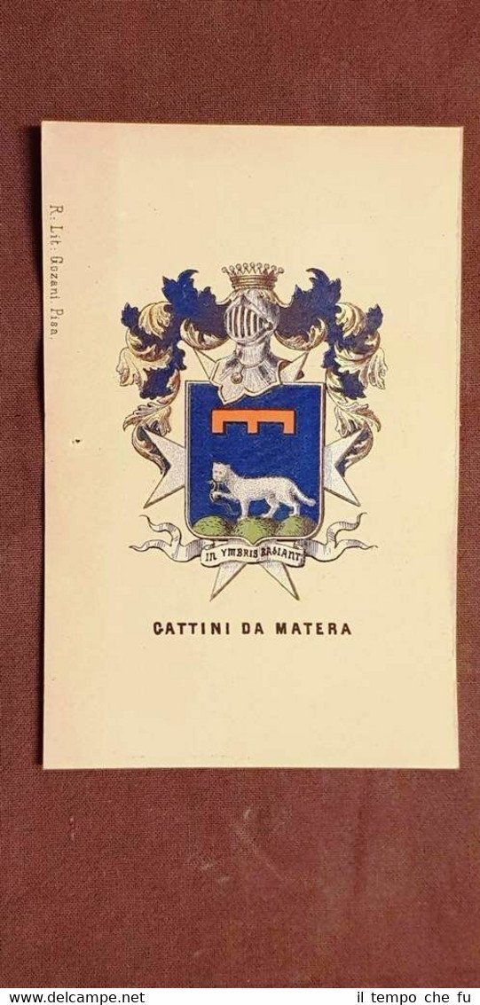 Stemma Gattini di Matera Famiglia nobile Cromolitografia 1880 Annuario nobiltà