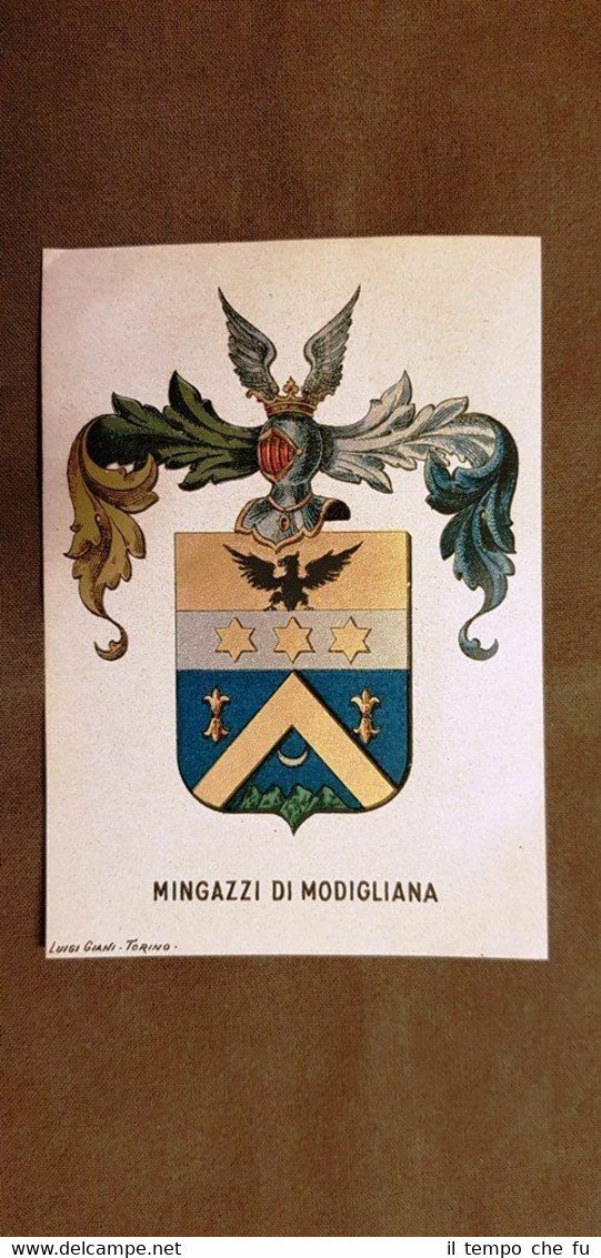 Stemma Mingazzi di Modigliana Famiglia nobile Cromolitografia del 1880 Nobiltà