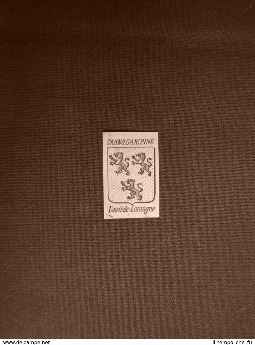 Stemma o blasone della città di Lavit de Lomagne - … | Immagine principale