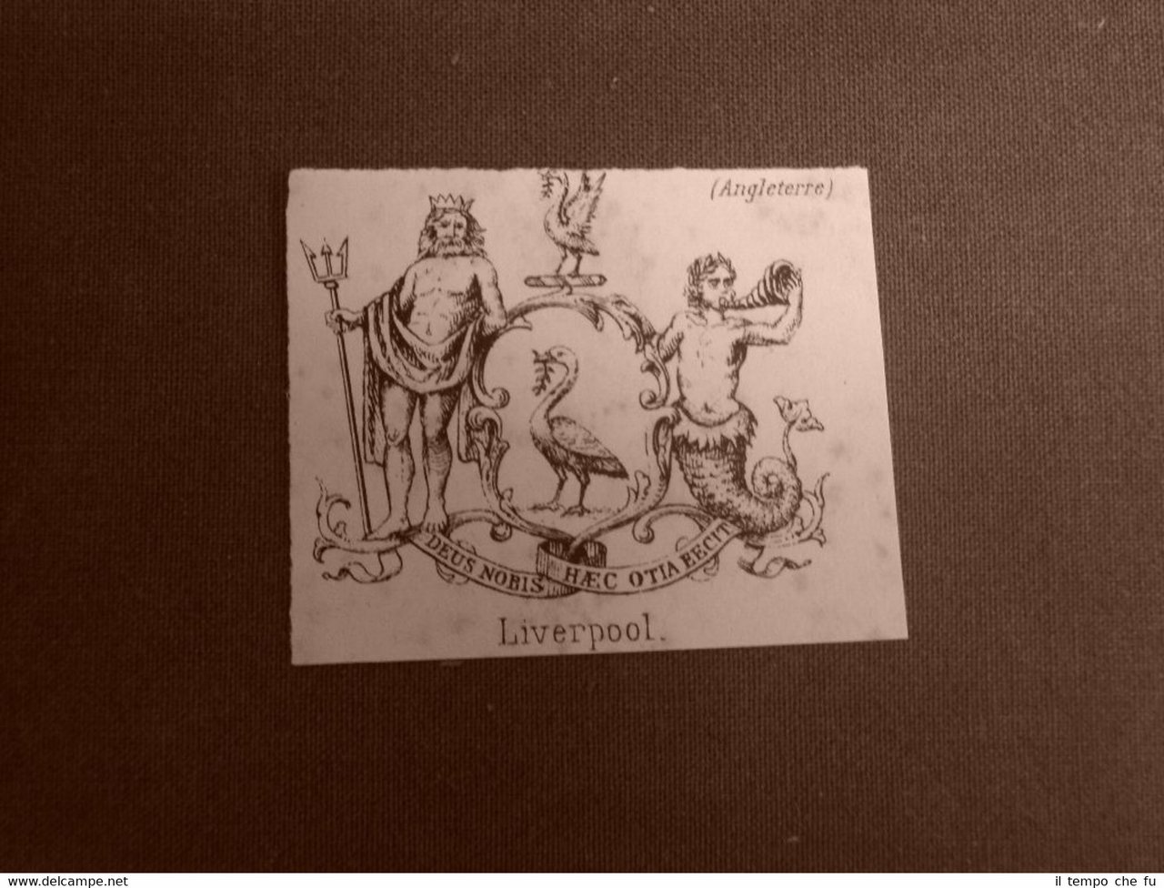 Stemma o blasone della città di Liverpool - Regno Unito …