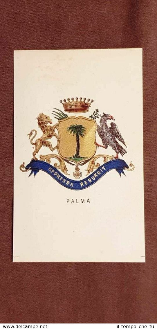 Stemma Palma Famiglia nobile Cromolitografia del 1880 Annuario nobiltà