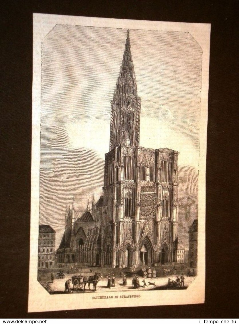 Strasburgo o Strasbourg o Straßburg 1869 La Cattedrale