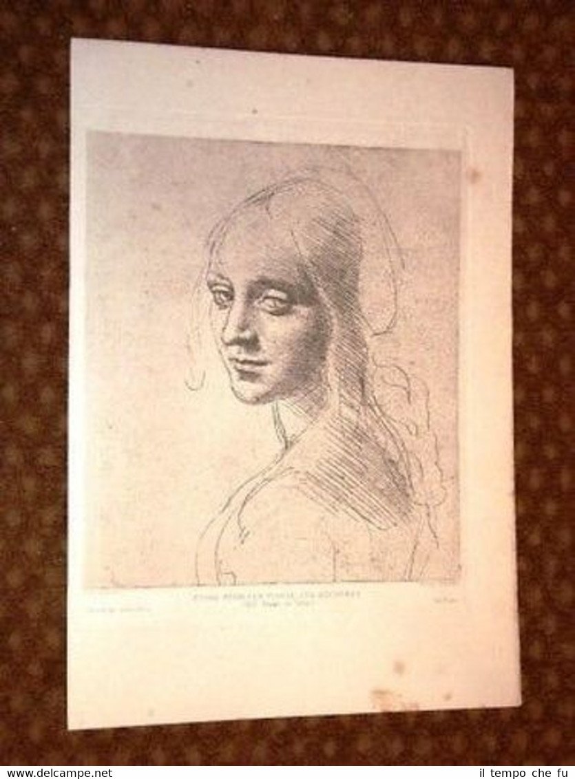 Studio per la Vergine delle Rocce - Leonardo Da Vinci