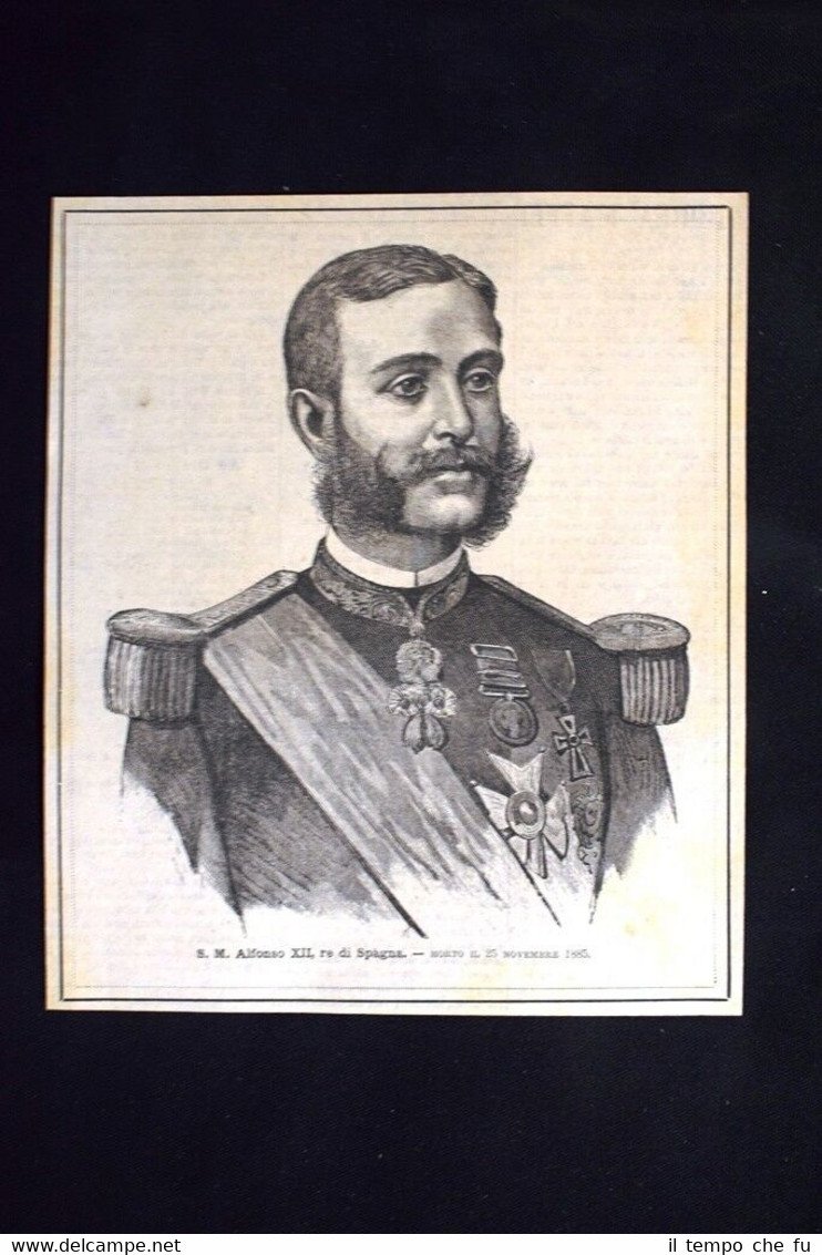 Sua Maestà Alfonso XII, Re di Spagna. Morto il 25 …