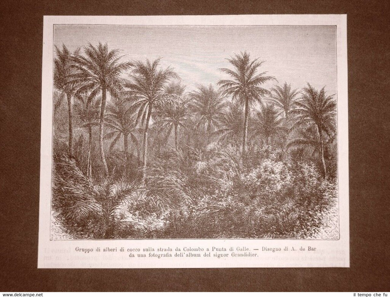 Sulla strada da Colombo a Punta di Galle nel 1863 …