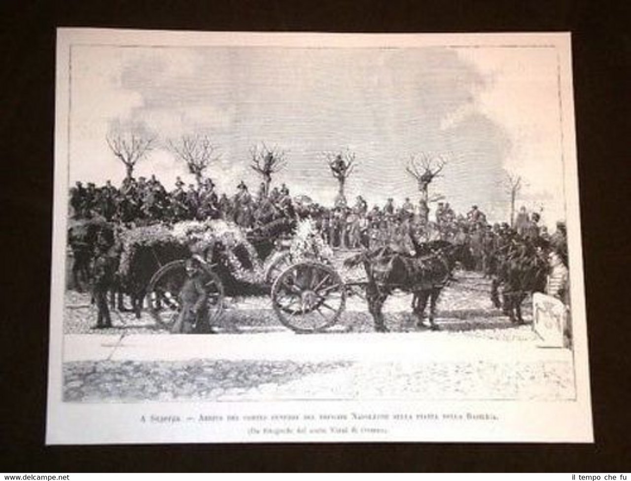 Superga Morte Gerolamo o Jérôme o Plon Plon Napoleone | Immagine principale