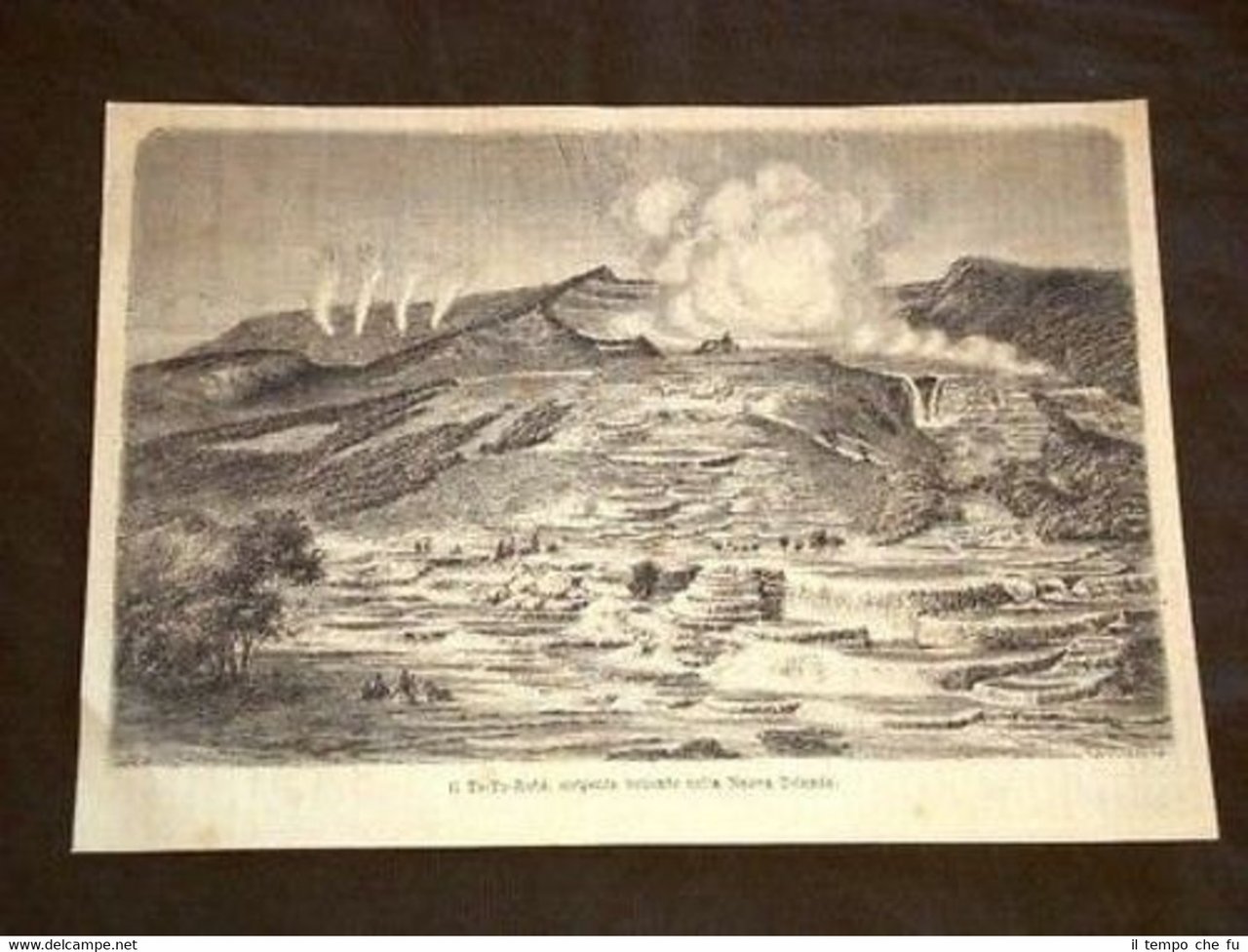 Te Ta Rata Sorgente bollente Nuova Zelanda New Zeland