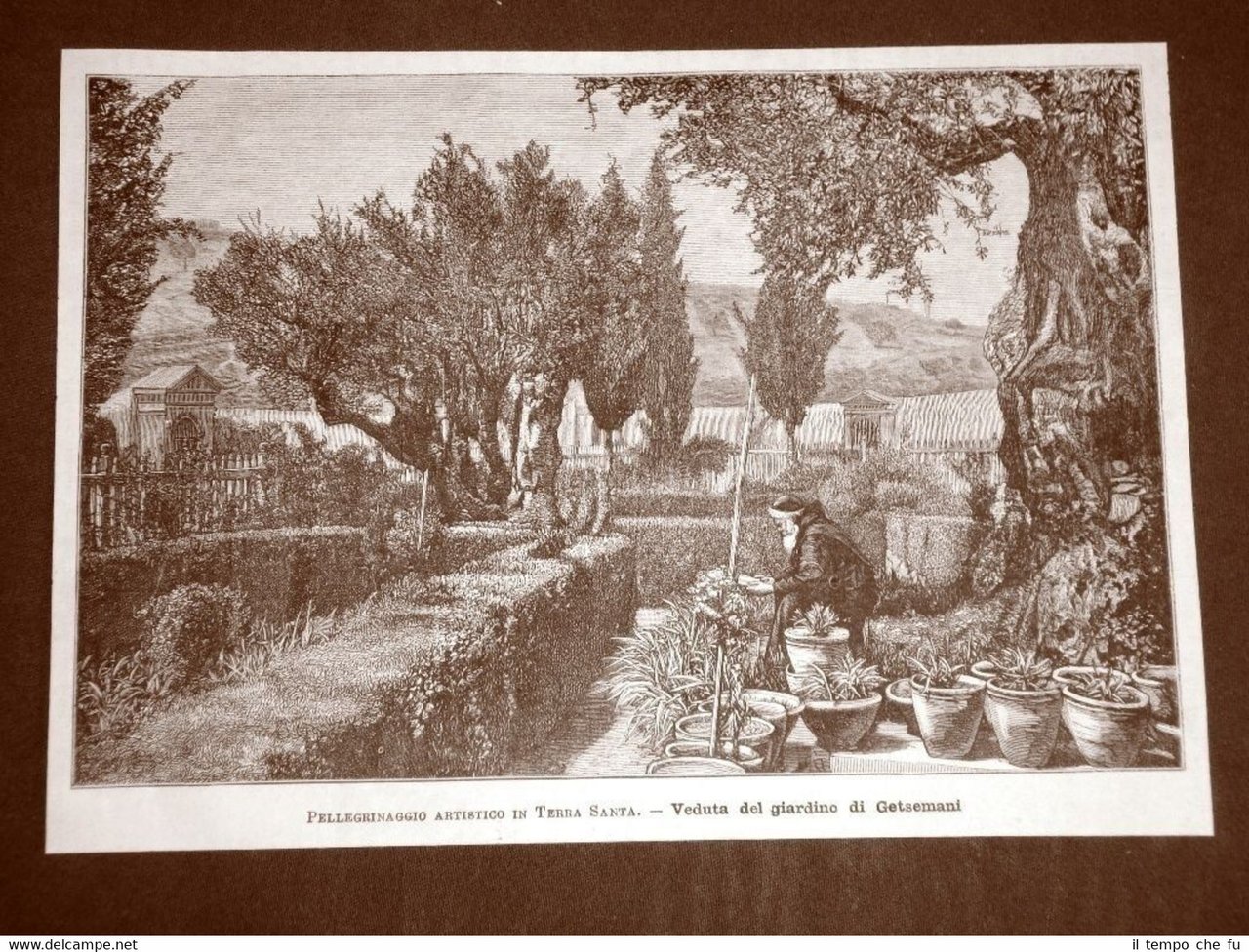 Terra santa o Terrasanta nel 1879 Veduta del Giardino di …