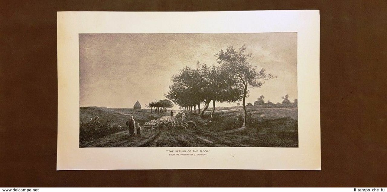 The return of the flock o Il ritorno del gregge …