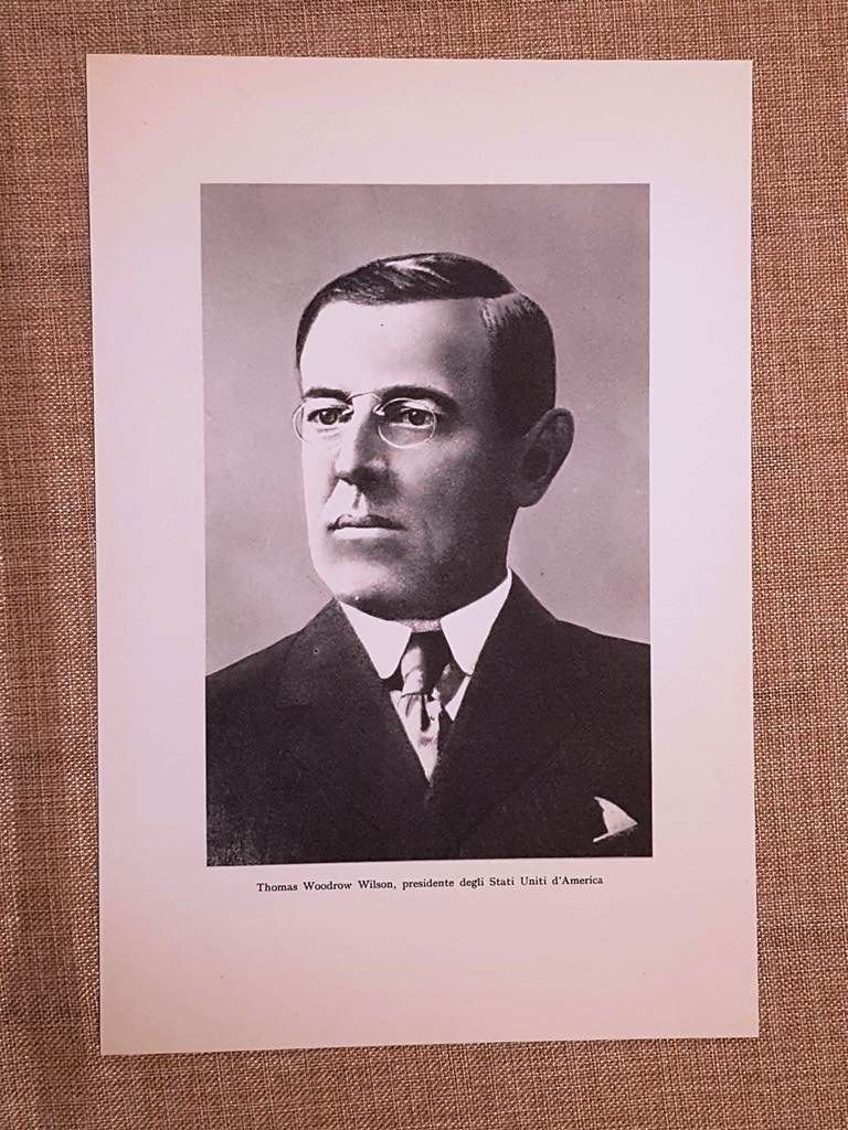 Thomas Woodrow Wilson Staunton, 1856 – Washington, 1924 Politico