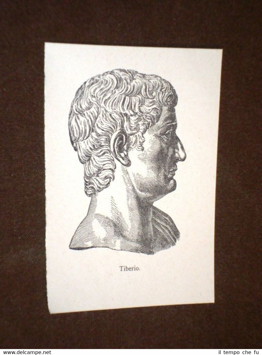 Tiberio Giulio Cesare Augusto Roma, 16 novembre 42 a.C. – …