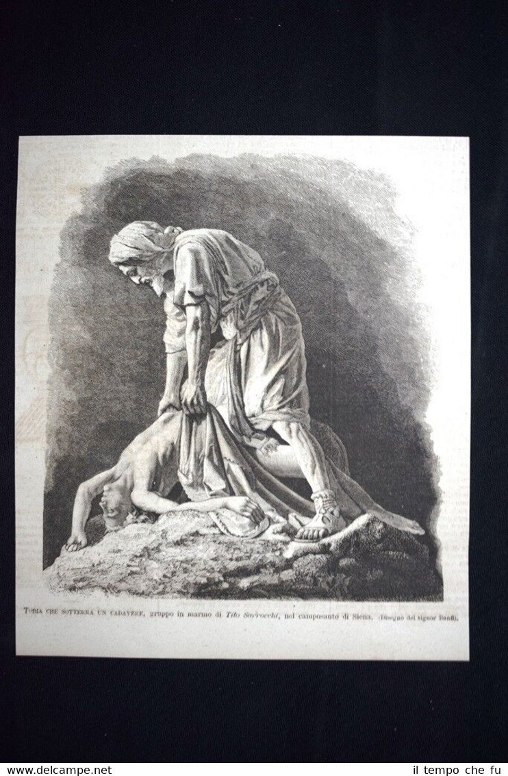 Tobia che sotterra un cadavere, marmo di Tito Sarrocchi Incisione …