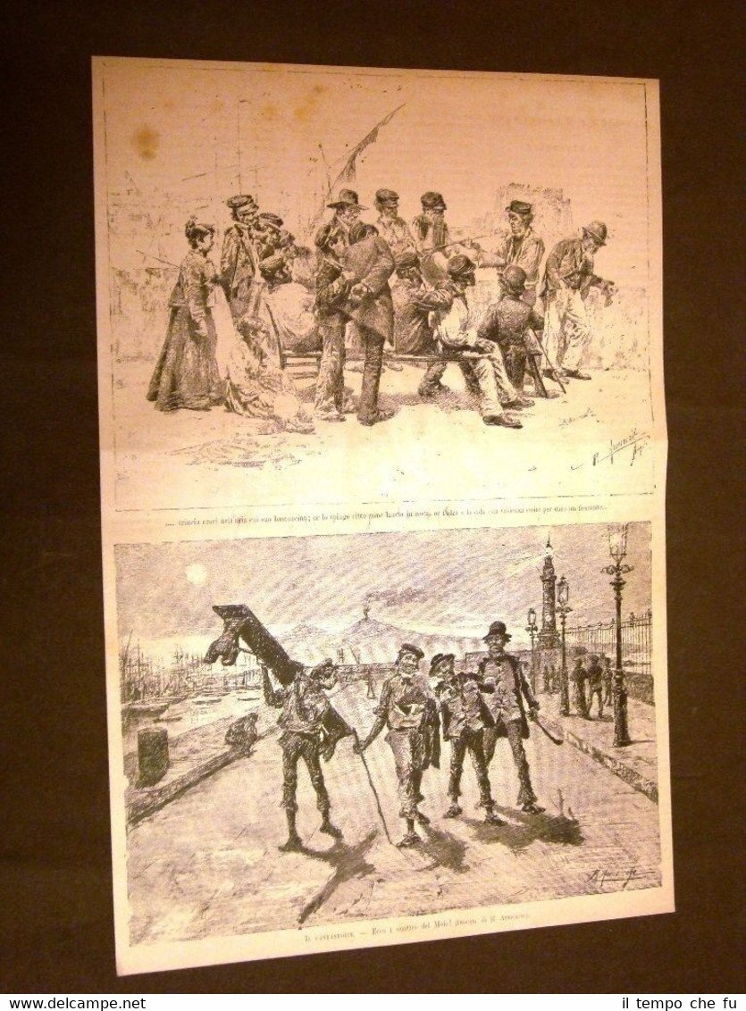 Tore il Cantastorie Racconto e Molo Disegno del Signor Armenise …