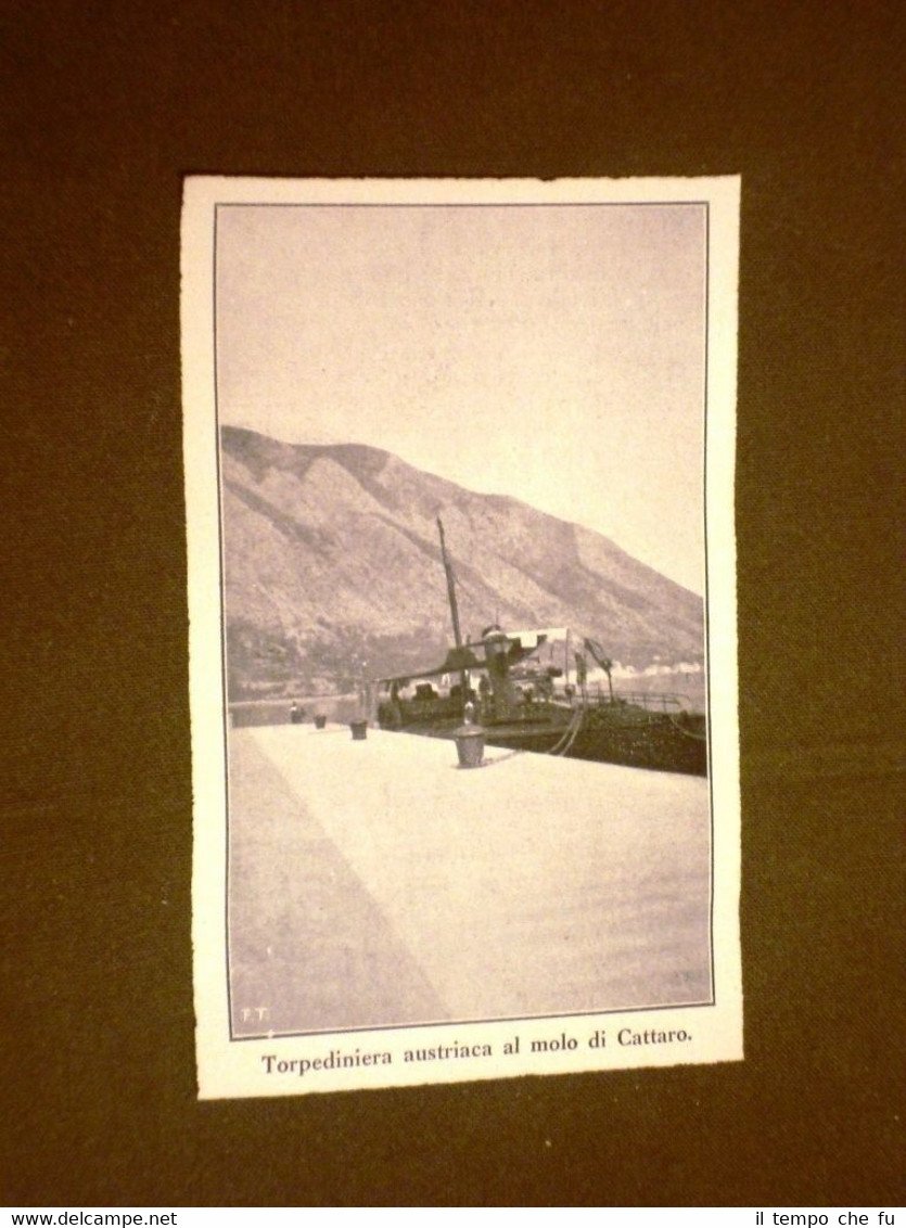 Torpediniera dell'Austria presso il molo di Cattaro o Kotor nel …