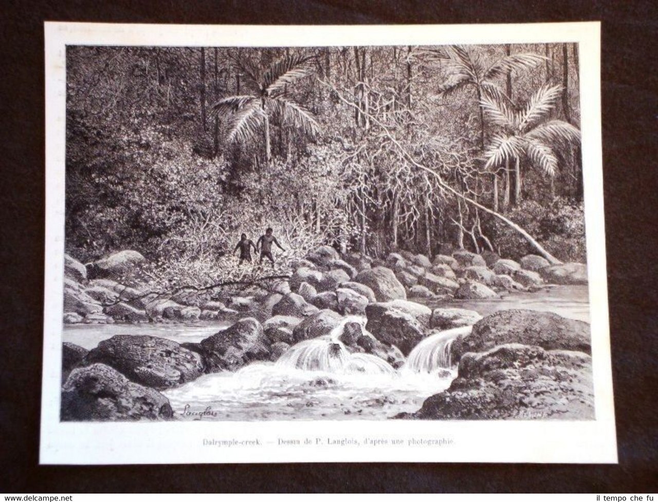 Tra i Cannibali d'Australia nel 1889 Darlymple creek