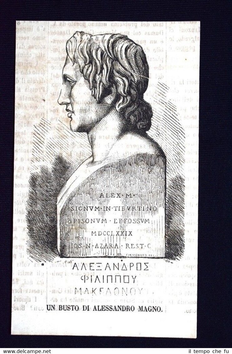Un busto di Alessandro Magno Incisione del 1868