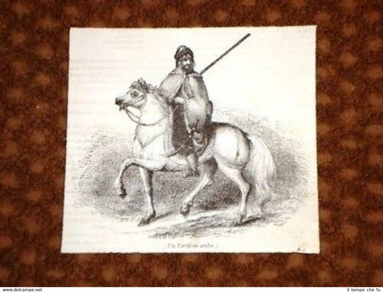 Un Cavaliere Arabo Cavalleria Araba Arabia