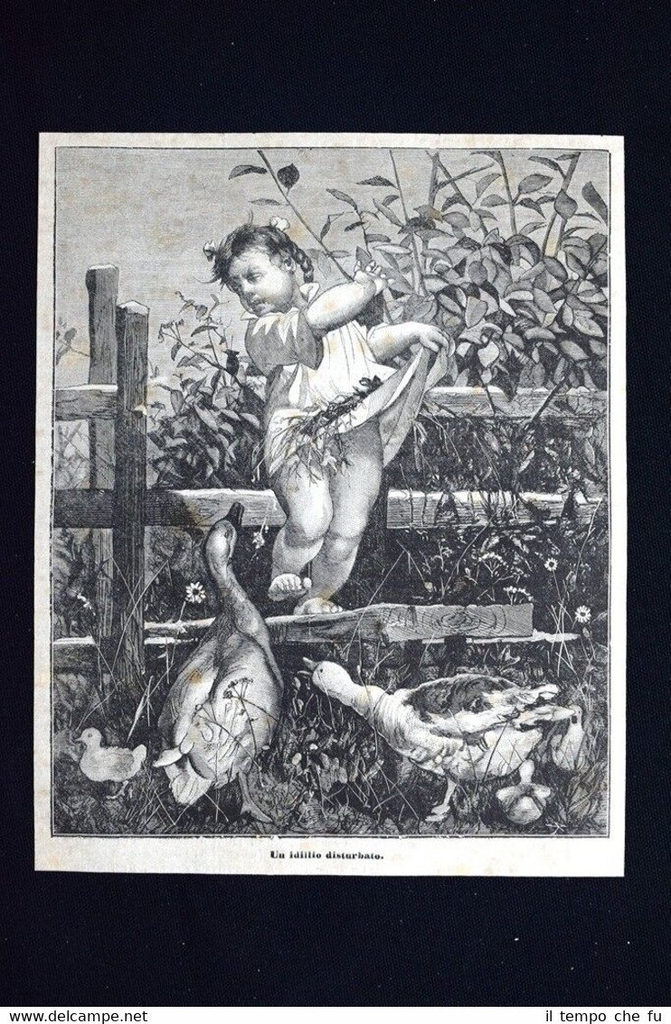 Un idillio disturbato Incisione del 1875