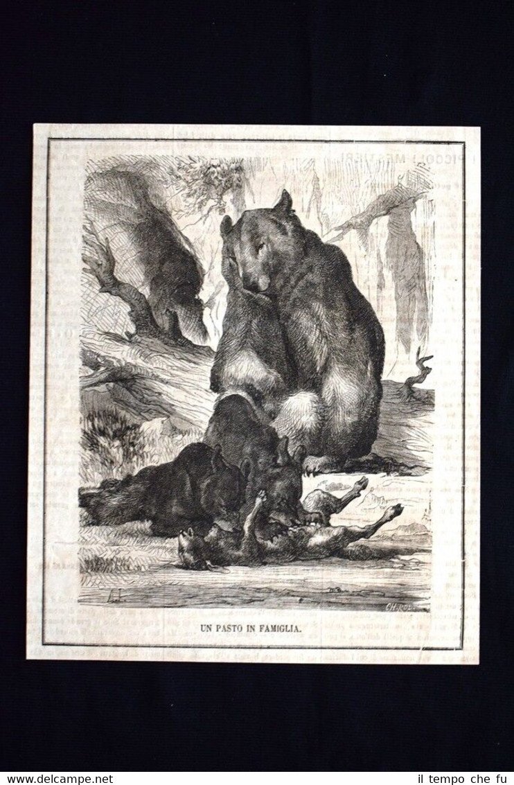 Un pasto in famiglia Incisione del 1869