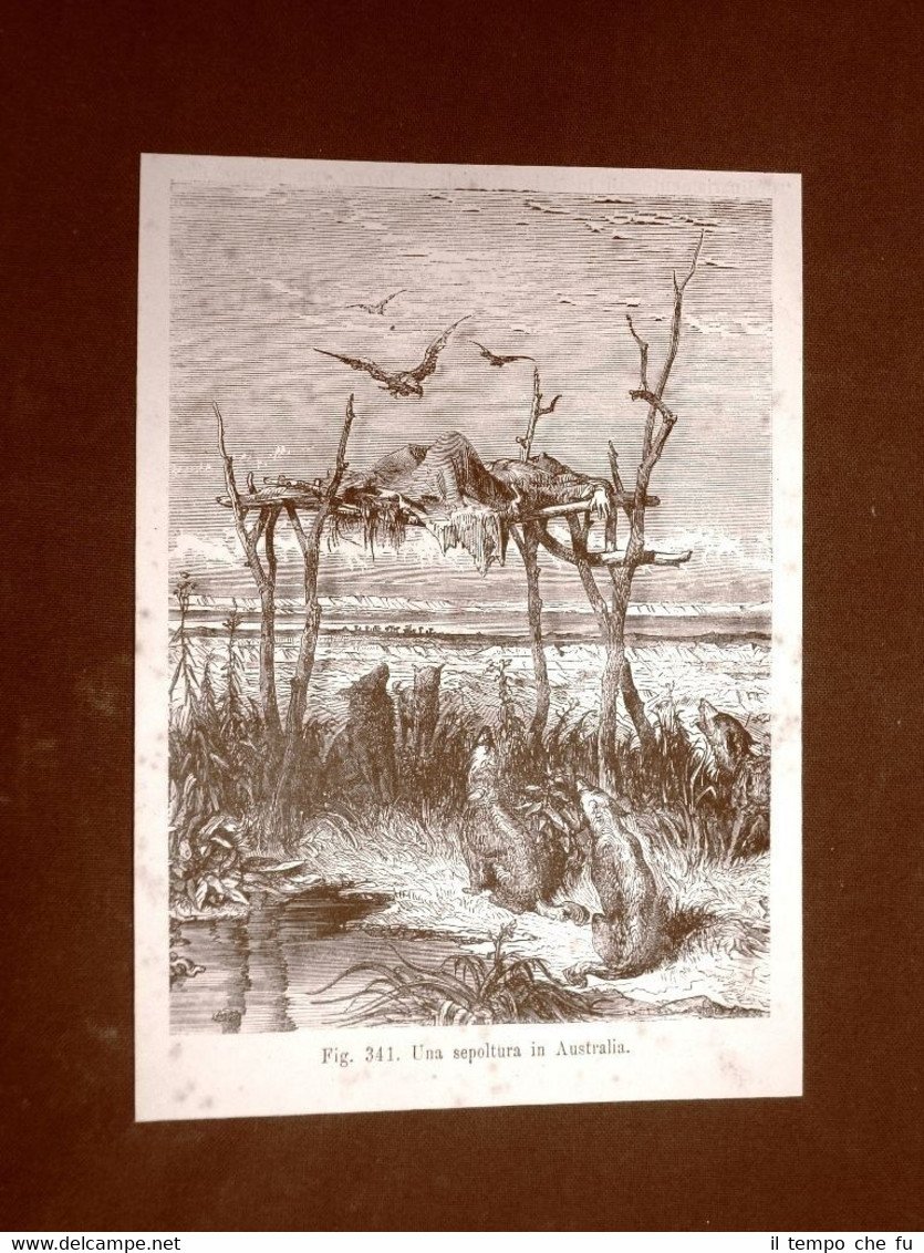 Una sepoltura in Australia nel 1883 | Immagine principale