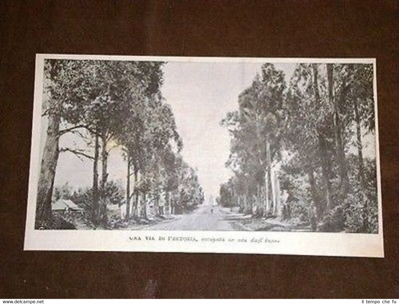 Una via di Pretoria Sudafrica