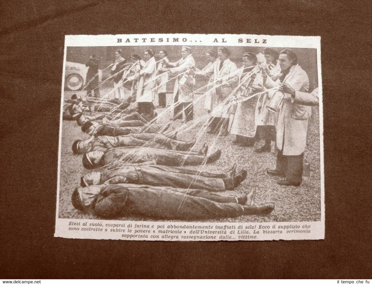 Università di Lille o Lilla nel 1938 Battesimo al selz …