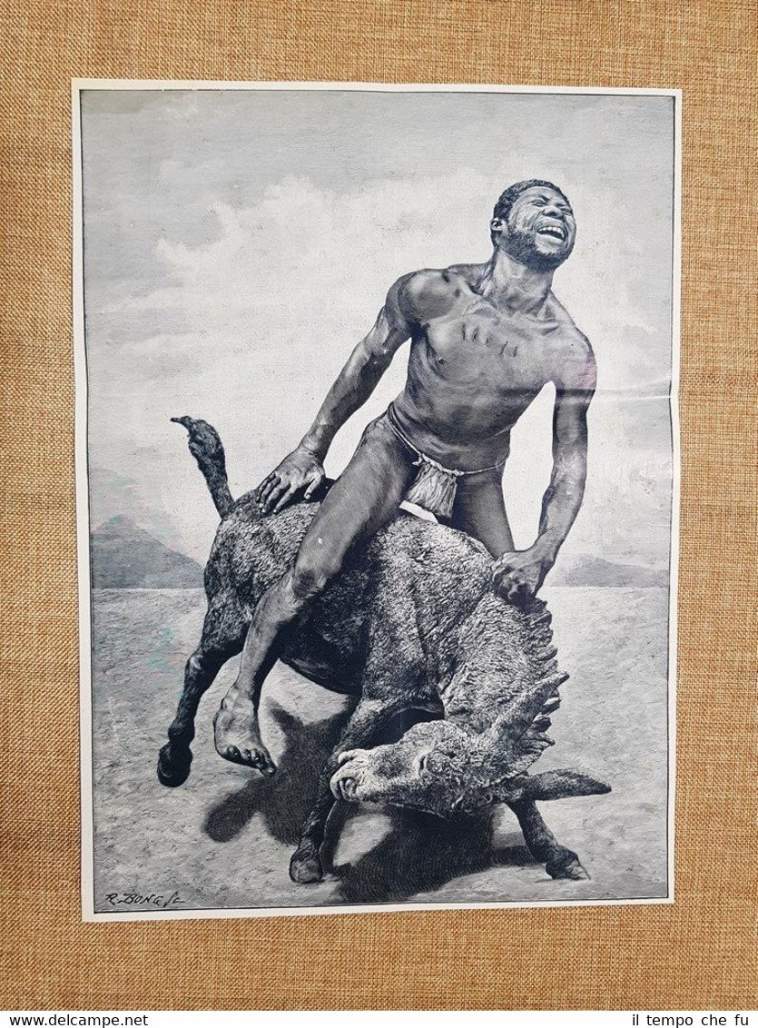 Uomo di colore che cavalca un asino Quadro Autore identificare …