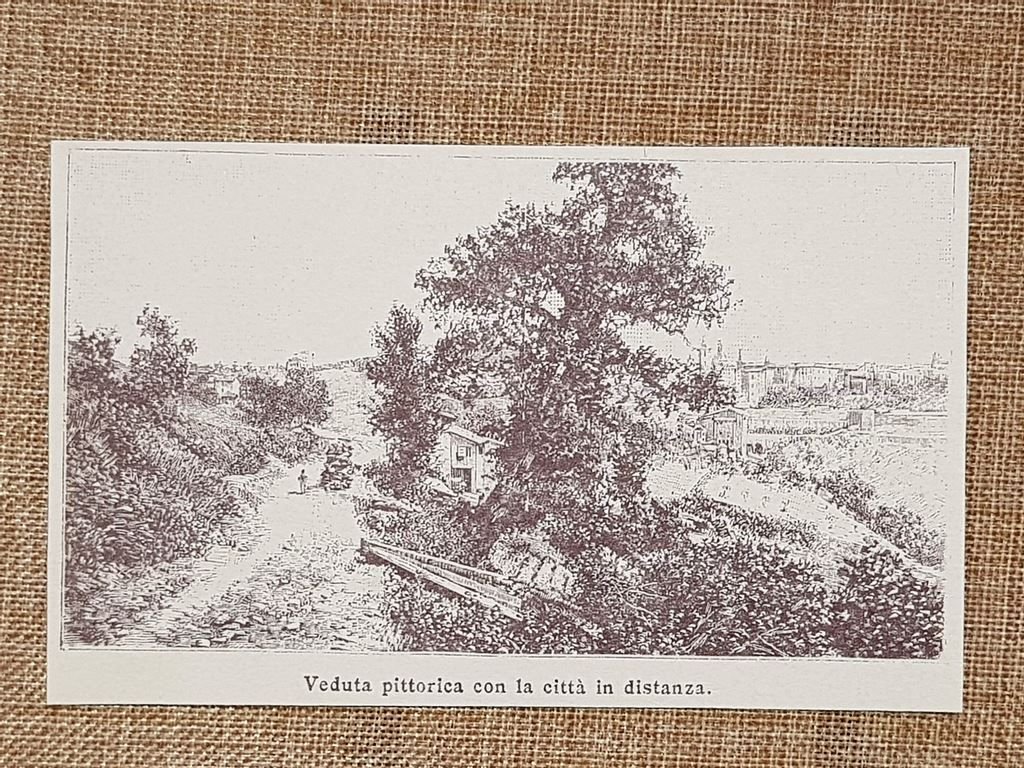 Urbino nell'800 Veduta pittorica con la città in distanza Marche