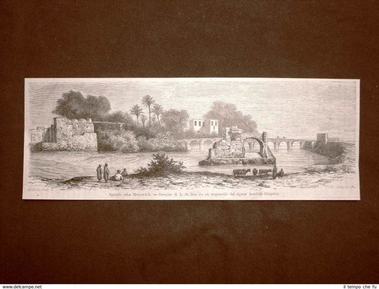 Veduta della sponde del fiume Mejerda o Bagrada del 1863 …