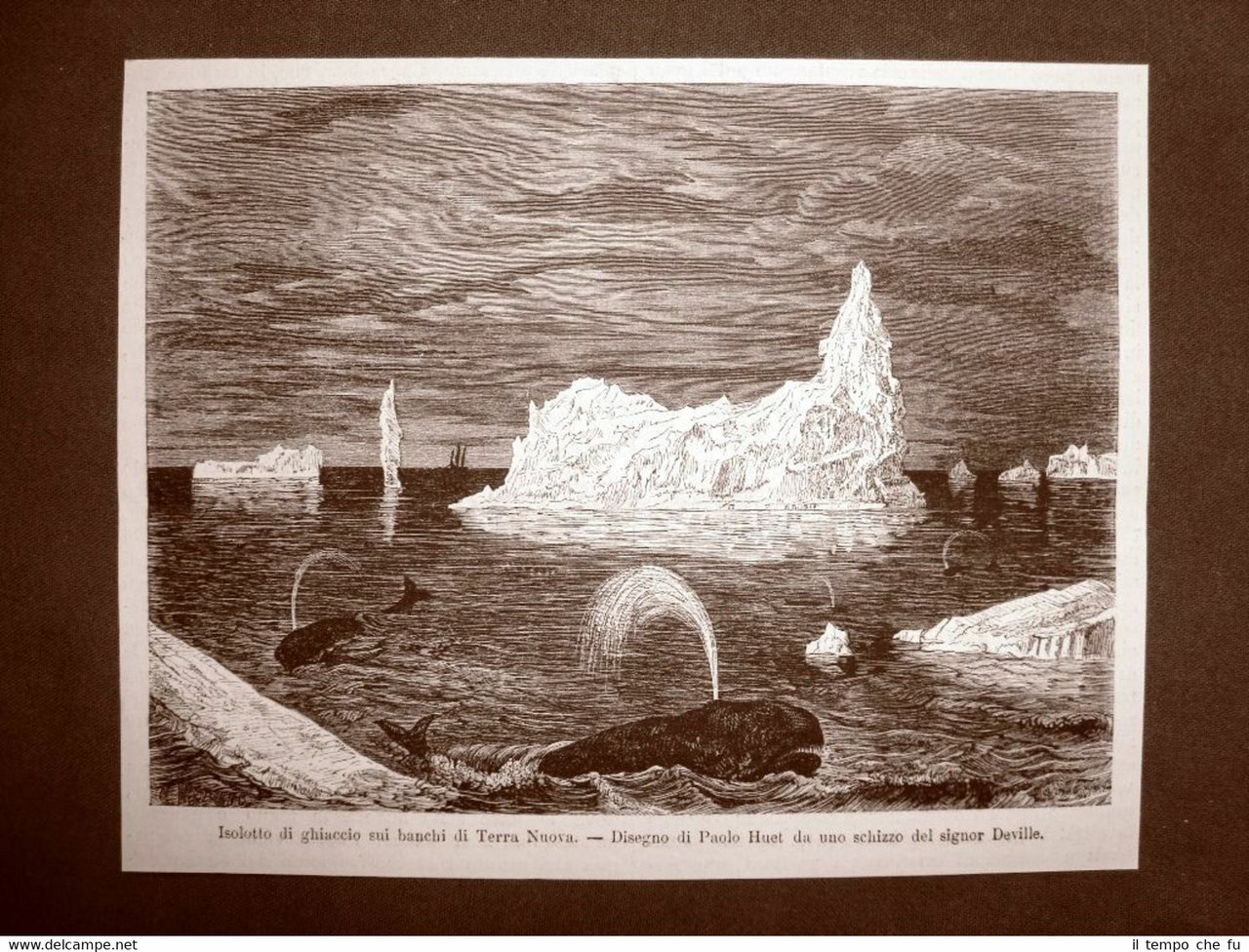 Veduta di balene e di un isolotto di ghiaccio sui …