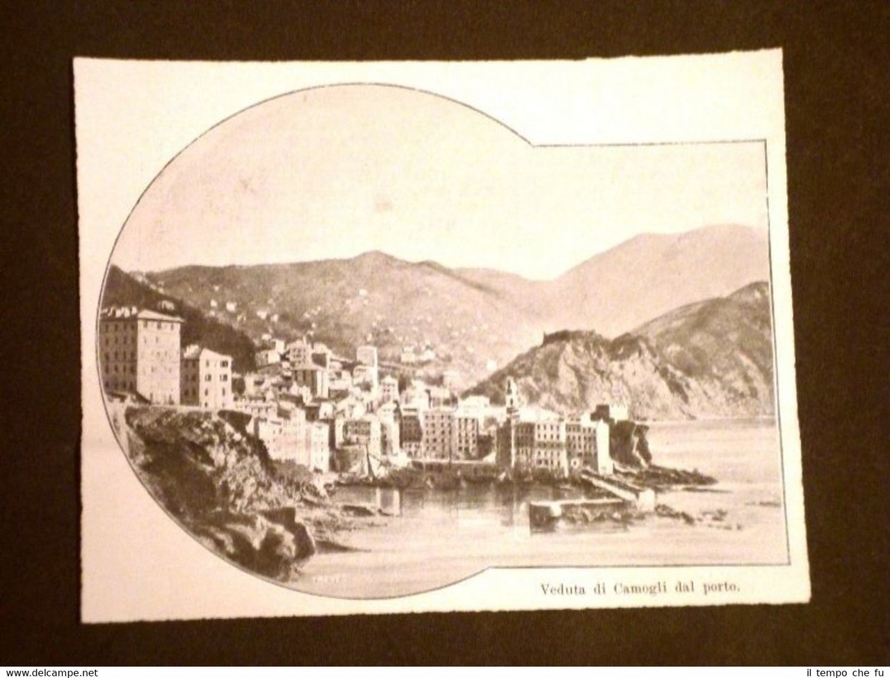 Veduta di Camogli dal porto nel 1903