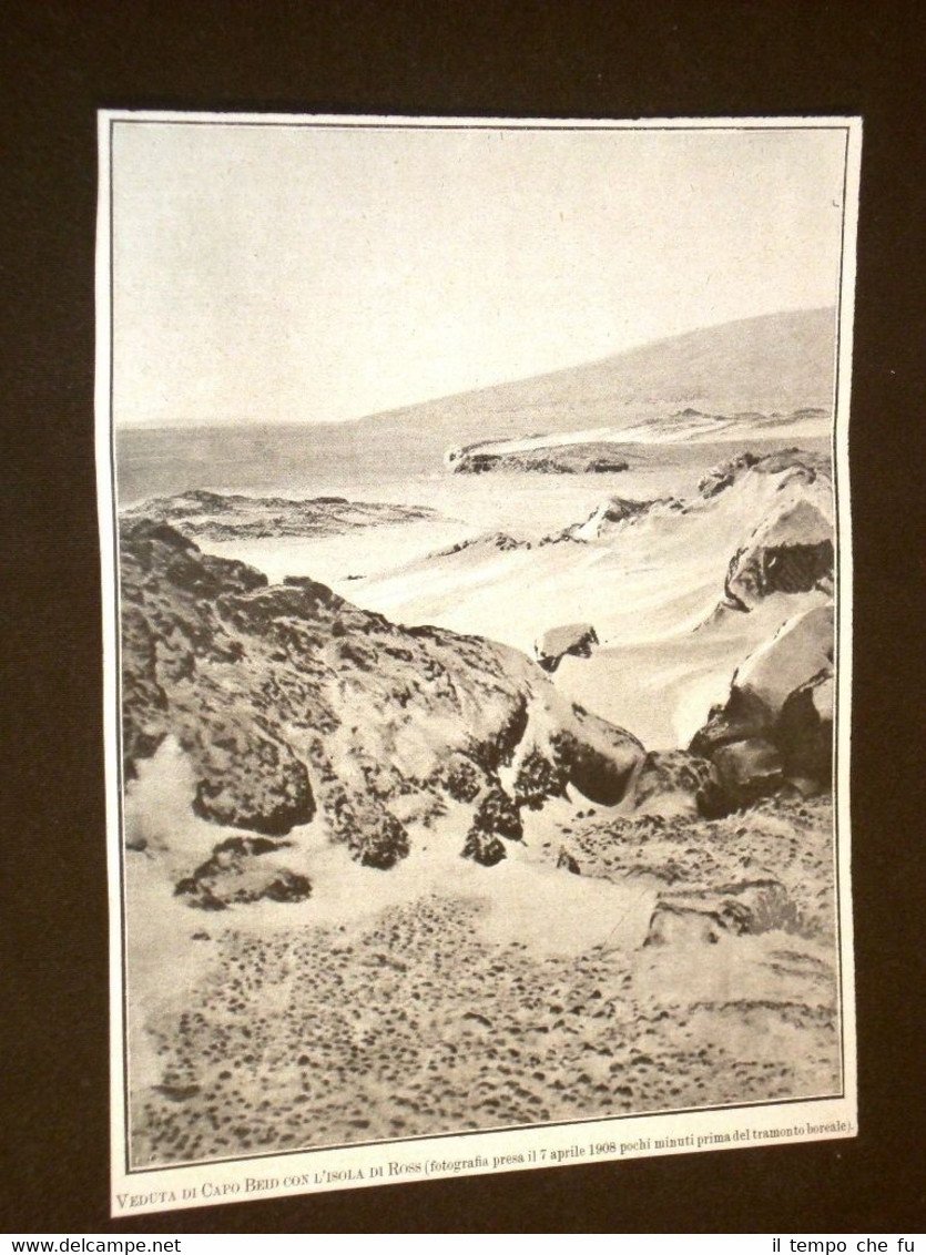 Veduta di Capo Beid 7 aprile 1908 Isola di Ross …