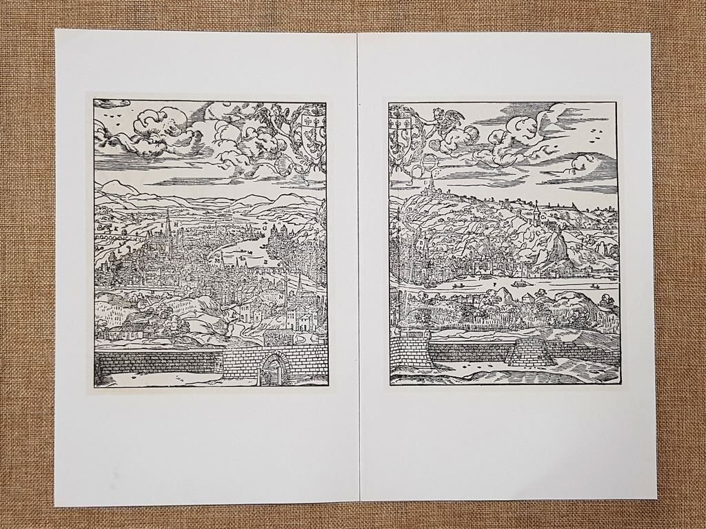 Veduta di Lyon Cosmografia universale di Sebastian Munster Anno 1572 … | Immagine principale
