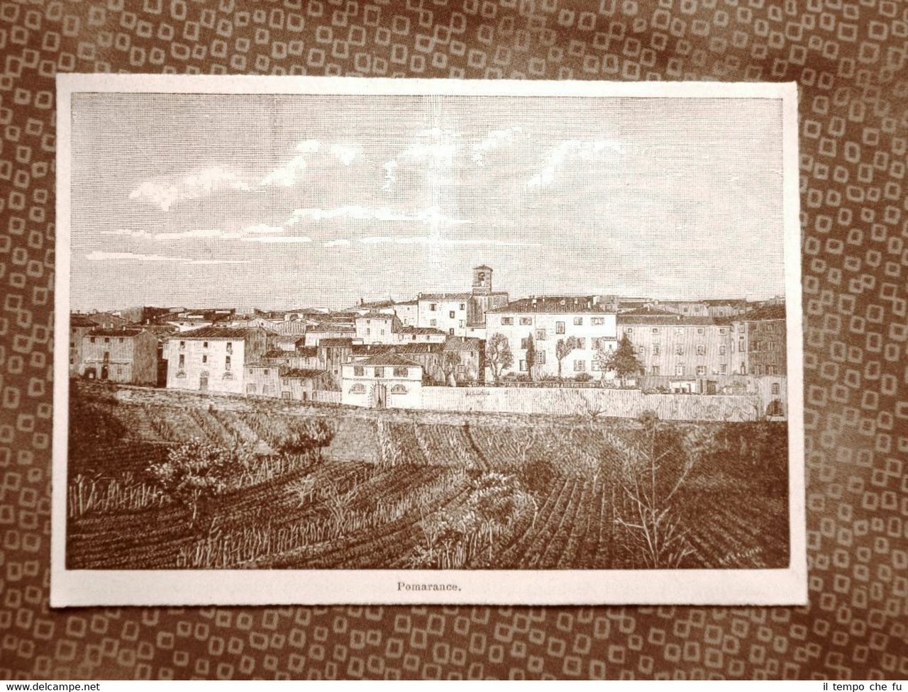 Veduta di Pomarance del 1894 Pisa Toscana