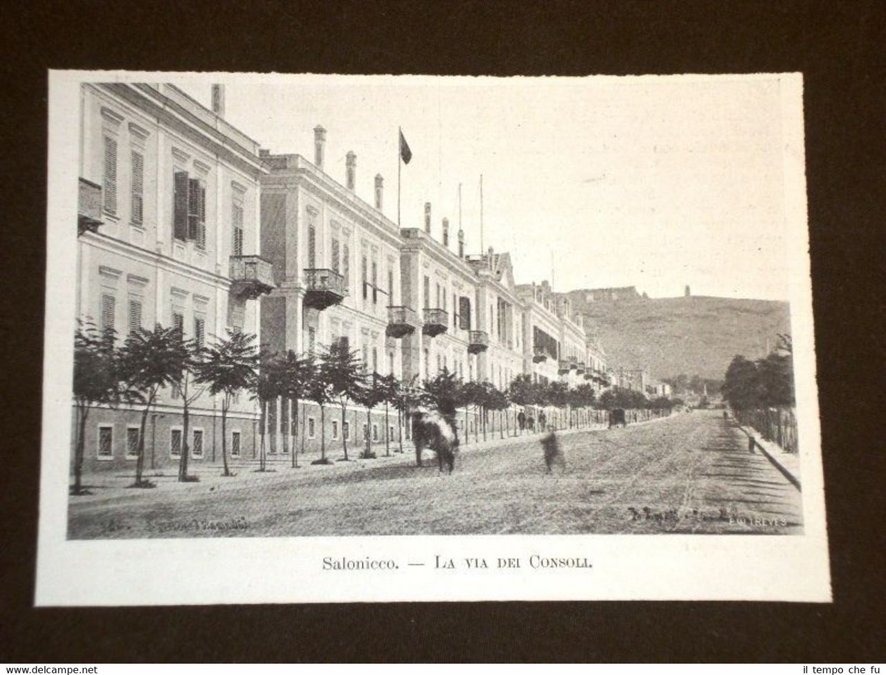 Veduta di Salonicco nel 1903 Thessaloniki o Tessalonica Via dei … | Immagine principale