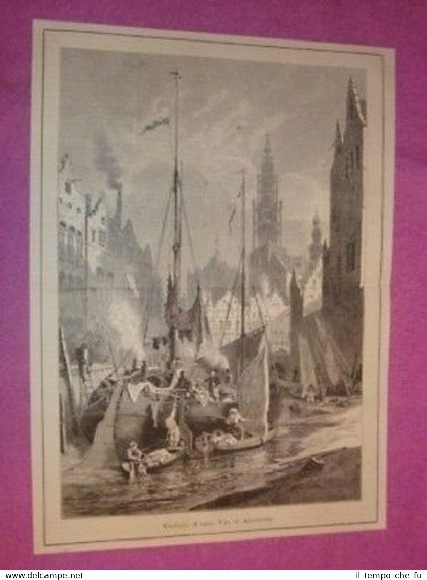 Veduta di una Via di Anversa Antwerpen Anvers in Belgio