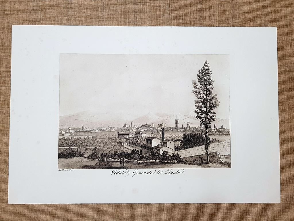 Veduta generale di Prato nell'800 Antonio Terreni Grande litografia Ristampa