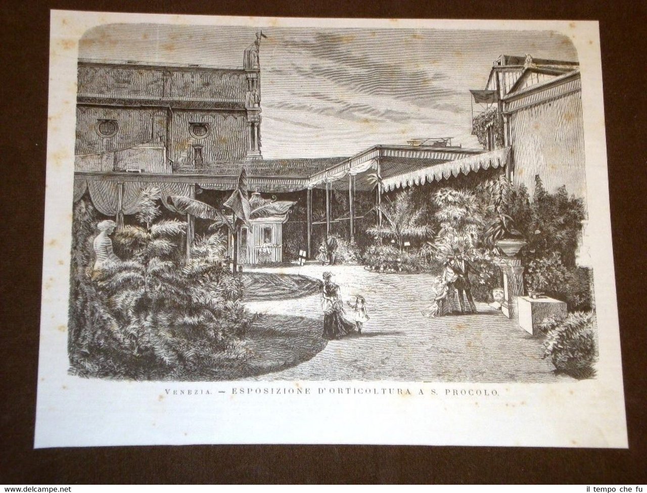 Venezia nel 1875 Esposizione d'orticoltura a San Procolo