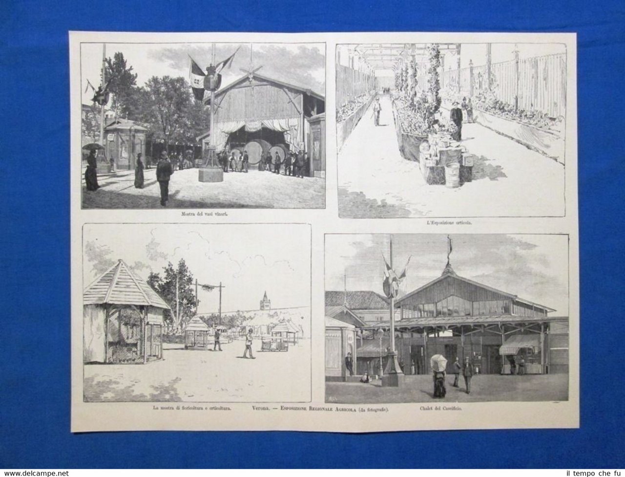 Verona: Esposizione Regionale Agricola del 1889