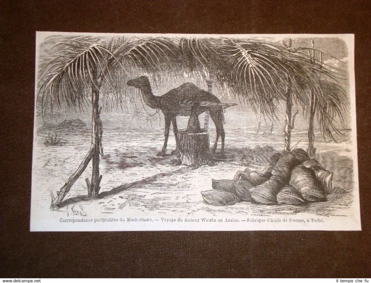 Viaggio del Dr. Watrin in Arabia nel 1869 Il Molino …