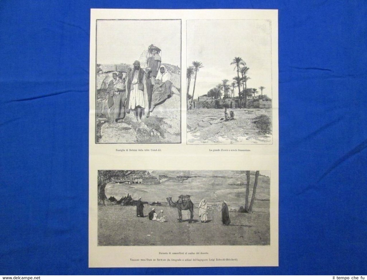 Viaggio nell'Oasi di Siuwah (Siwa, Egitto) nel 1889