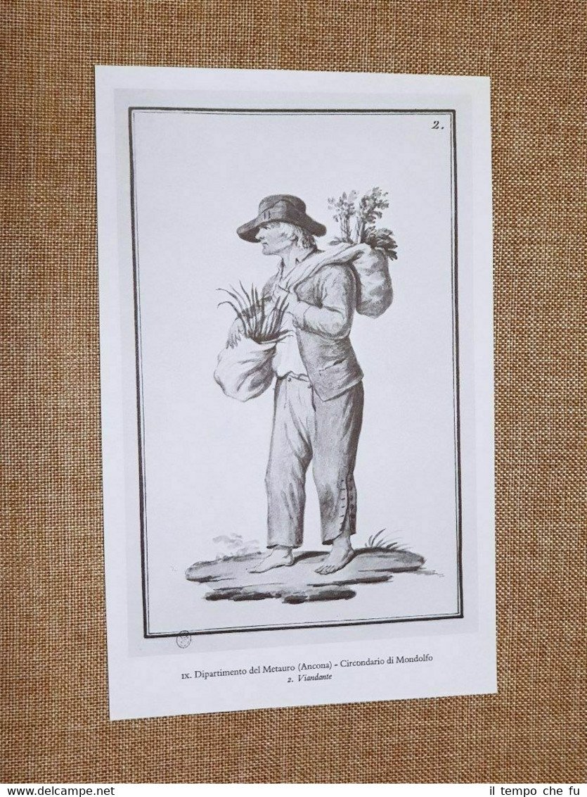 Viandante e agricoltore Mondolfo Metauro Ancona Regno Italico d'Italia 1805-1814