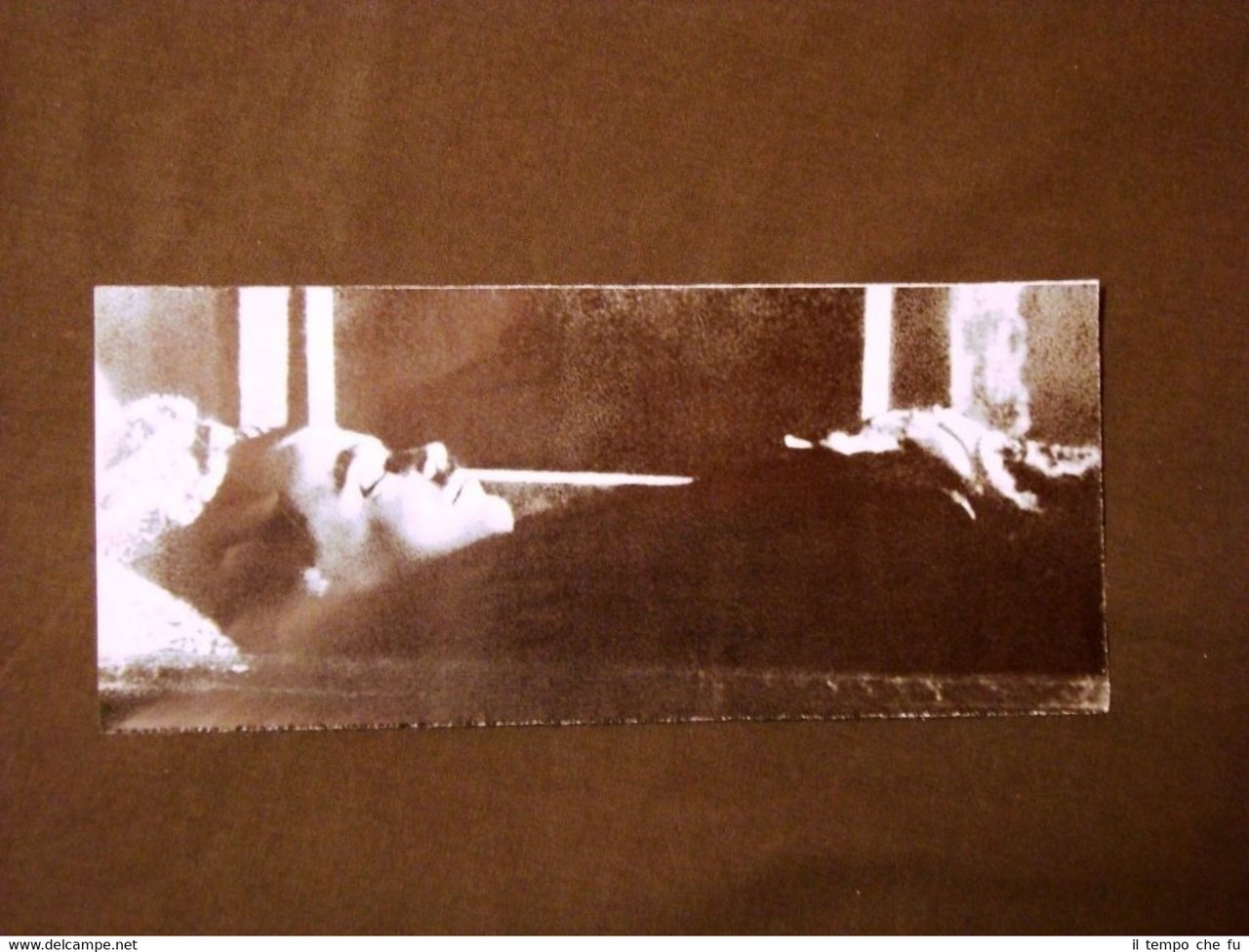 Vienna nel 1934 Assassinio del Cancelliere d'Austria Engelbert Dollfuss Letto