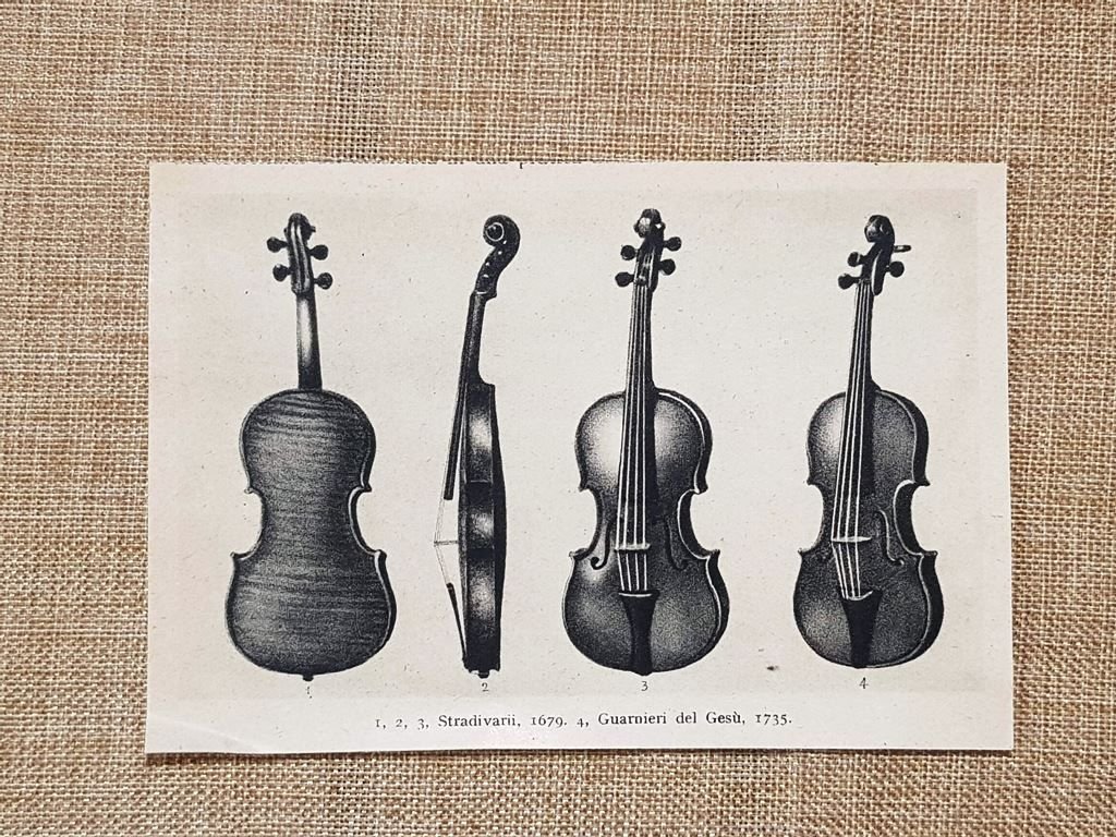 Violini Stradivari 1679 Guarneri 1735 Capolavori della liuteria Stampa del …