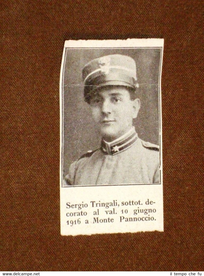 WW1 1a Guerra mondiale 1914-1918 Caduto per la patria Sergio …